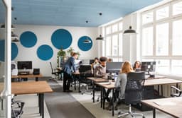 EASYceiling Direct Combi - plafondpaneel in verschillende afmetingen en diktes