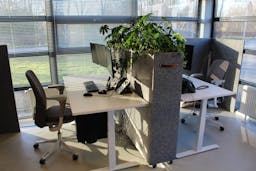 EASYfelt plantenblok kantoor